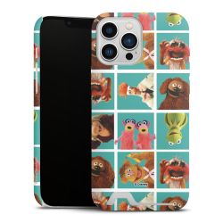 Premium Card Case matt