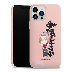 Premium Card Case matt