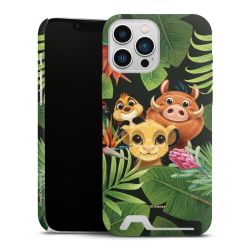 Premium Card Case matt