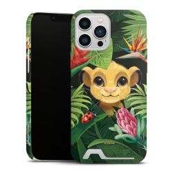 Premium Card Case matt