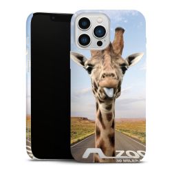 Premium Card Case matt