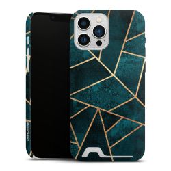 Premium Card Case matt