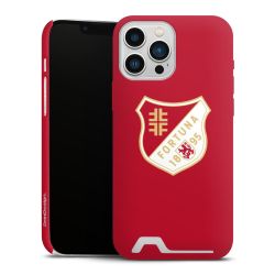 Premium Card Case matt