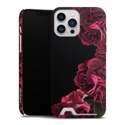 Rose vintage su nero