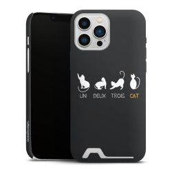 Premium Card Case matt