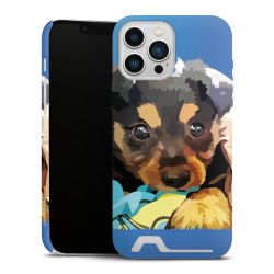 Premium Card Case matt