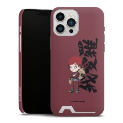 Premium Card Case matt