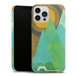 Premium Card Case matt