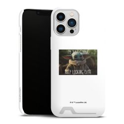 Premium Card Case matt