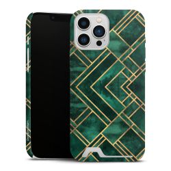 Premium Card Case matt