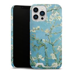 Amandelbloesem door Vincent Van Gogh