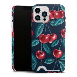 Premium Card Case matt