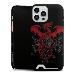 Premium Card Case matt