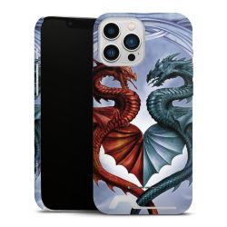 Premium Card Case matt