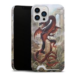 Premium Card Case matt