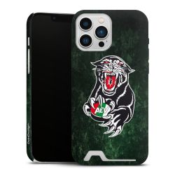 Premium Card Case matt