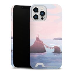 Premium Card Case matt