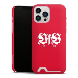 Premium Card Case matt