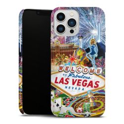 Premium Card Case matt