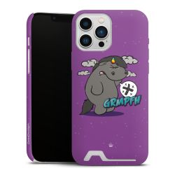 Premium Card Case matt