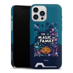 Premium Card Case matt