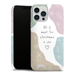 Premium Card Case matt