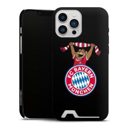 Premium Card Case matt