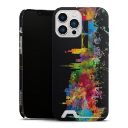 Premium Card Case matt