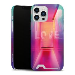 Premium Card Case matt