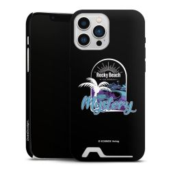 Premium Card Case matt