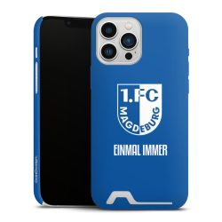 Premium Card Case matt