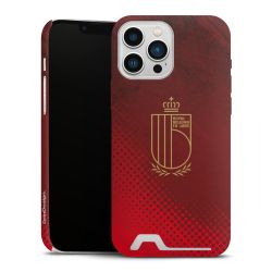 Logo van het Belgische nationale team