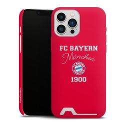 Premium Card Case matt