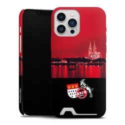 Premium Card Case matt