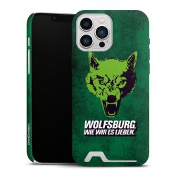 Premium Card Case matt