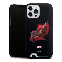 Premium Card Case matt