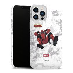 Premium Card Case matt