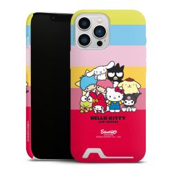 Premium Card Case matt