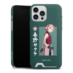 Premium Card Case matt