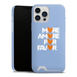 Premium Card Case matt