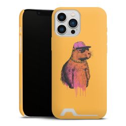 Premium Card Case matt