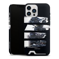 Premium Card Case matt