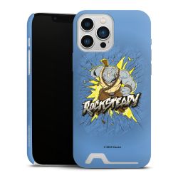 Premium Card Case matt