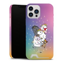 Premium Card Case matt