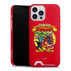 Premium Card Case matt