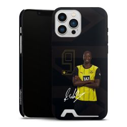 Premium Card Case matt