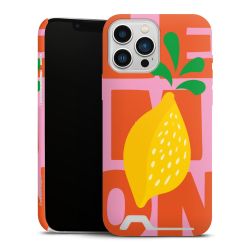 Premium Card Case matt