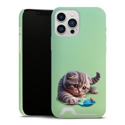 Premium Card Case matt