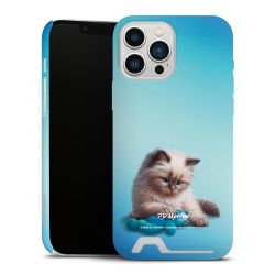 Premium Card Case matt