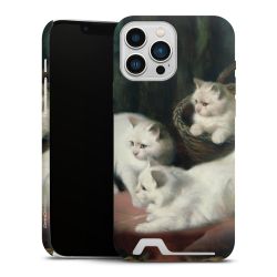 Premium Card Case matt